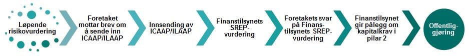 [Bilde: SREP-prosessen]