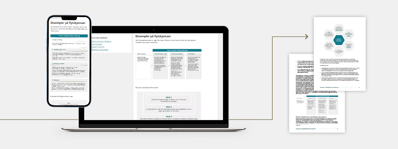 Bilde av eksempler på flytskjemaer som brukes av Finanstilsynet.